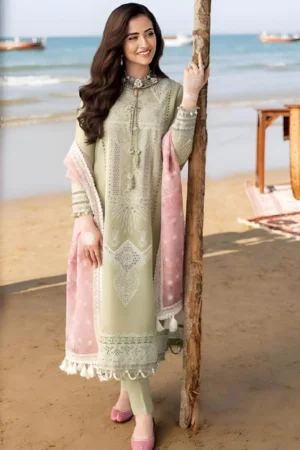 CH-10 Embroidered ChickenKari Lawn Suit With Printed Organza Dupatta